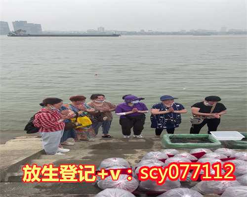 厦门放生感应录，厦门放生乌龟的地方在哪，厦门十二月份放生好不好