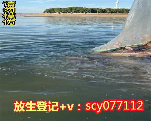 怎么样放生效果最好，怎样跳绳减肥效果最好