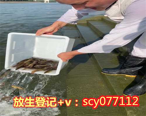 江苏冬天乌龟好放生吗，冬天乌龟好放生吗，重庆放生地点公布寺庙